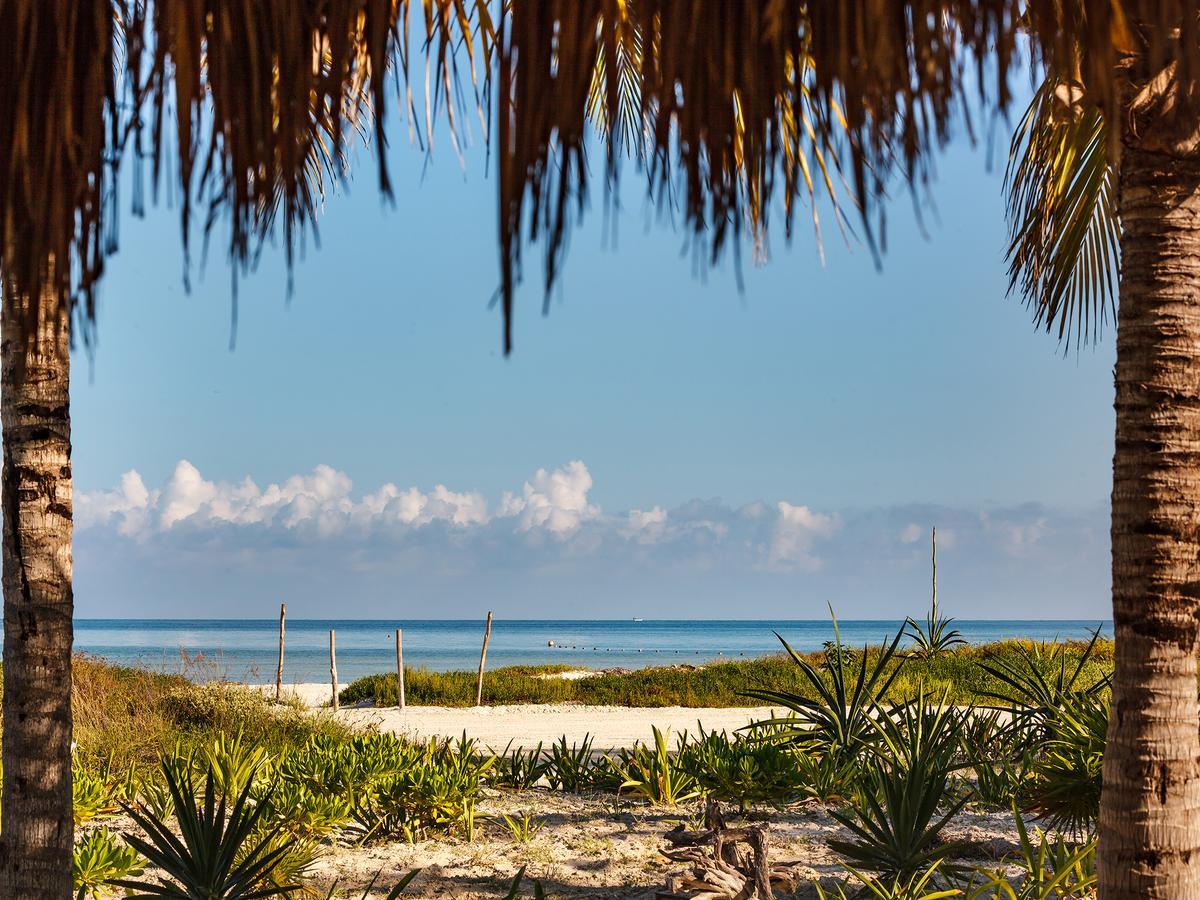 Villas Hm Palapas Del Mar Holbox  Eksteriør bilde
